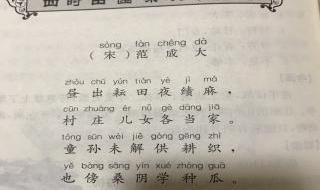 四时田园杂兴（其一）的单句意思